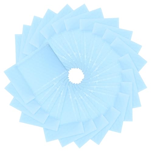 DIYEAH 100 Stück Selbstklebende Versandtaschen mit Luftpolster Reißfest Blickdicht Extra Dicke Verpackungsbeutel für Kleidung und Geschenke Professionelle Versandverpackung Milchblau von DIYEAH
