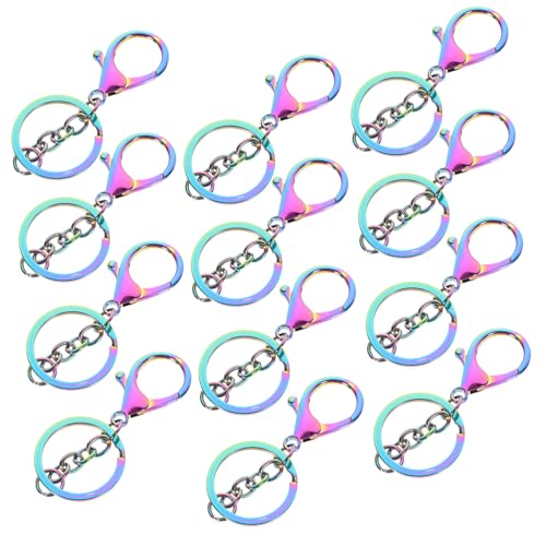 DIYEAH 12 Stück Schlüsselanhänger Clips Karabinerhaken für Diy Bastelbedarf Leicht und Robust für Handarbeiten und Schlüsselorganisation DIYEAH 12 Stück Schlüsselanhänger Clips Karabinerhaken für Diy Bastelbedarf Leicht und Robust für Handarbeiten und Schlüsselorganisation von DIYEAH