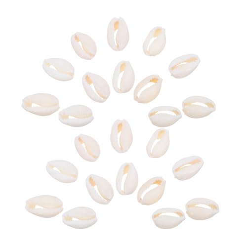 DIYEAH 2 Packungen Naturalschalenanhänger Ozeanschmuck, die Perlen machen Ocean Muschel Vase Füllstoff Fischtankschalenzauber Muschelschmuck Perlen Crafting Muschelschale Hülse DIYEAH 2 Packungen Naturalschalenanhänger Ozeanschmuck, die Perlen machen Ocean Muschel Vase Füllstoff Fischtankschalenzauber Muschelschmuck Perlen Crafting Muschelschale Hülse von DIYEAH