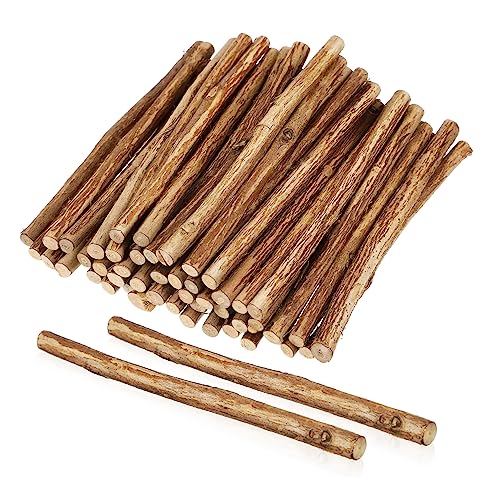 DIYEAH 50Stücke Natürliche Holzstöcke für DIY Bastelprojekte Rustikale Dekoration für Zuhause für Weihnachtsbäume Vogelhäuser und Wandbehänge DIYEAH 50Stücke Natürliche Holzstöcke für DIY Bastelprojekte Rustikale Dekoration für Zuhause für Weihnachtsbäume Vogelhäuser und Wandbehänge von DIYEAH