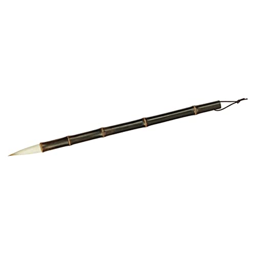 DIYEAH Wolfsschaf Und Haarbürste Pinsel Kalligraphie Malen Traditionelle Kalligrafie Füllfederhaltertinte Tinte Für Füllfederhalter Übungsbuch Kalligrafie Zeitschrift Malerei Bambus von DIYEAH