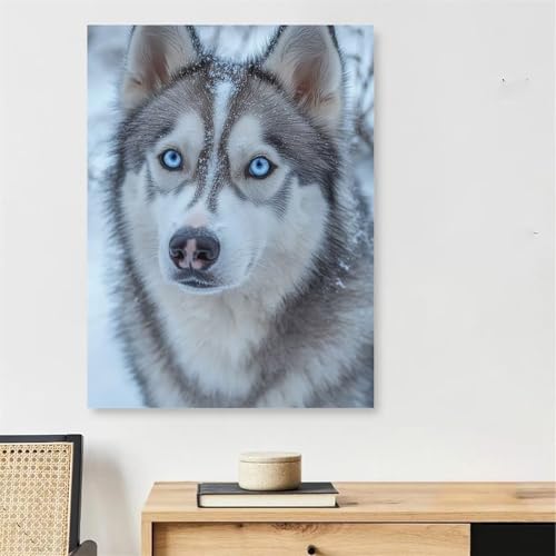 Malen Nach Zahlen Erwachsene Hund, Schneeszene Malen Nach Zahlen mit Rahmen 20x30cm, DIY Painting by Numbers Adults Handgemalt Ölgemälde Kit mit 3 Pinseln und Acrylfarbe, Wanddeko Wohnzimmer,Model199 Malen Nach Zahlen Erwachsene Hund, Schneeszene Malen Nach Zahlen mit Rahmen 20x30cm, DIY Painting by Numbers Adults Handgemalt Ölgemälde Kit mit 3 Pinseln und Acrylfarbe, Wanddeko Wohnzimmer,Model199 von DJCZSCC