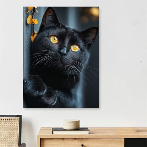 Malen Nach Zahlen Erwachsene Katze, Tier Malen Nach Zahlen mit Rahmen 70x100cm Leinwand, DIY Painting by Numbers Adults Handgemalt Ölgemälde mit 3 Pinseln und Acrylfarbe, Wanddeko Wohnzimmer,Model151 Malen Nach Zahlen Erwachsene Katze, Tier Malen Nach Zahlen mit Rahmen 70x100cm Leinwand, DIY Painting by Numbers Adults Handgemalt Ölgemälde mit 3 Pinseln und Acrylfarbe, Wanddeko Wohnzimmer,Model151 von DJCZSCC