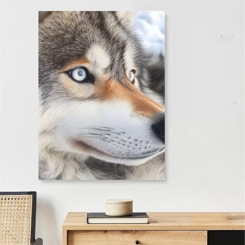 Malen Nach Zahlen Hund Paint by Numbers Wolf Malen Nach Zahlen Erwachsene mit Rahmen 100x160cm Knitterfreie Leinwand Ölgemälde Bastelset mit 3 Pinseln für Zimmer Deko, Geschenke für Frauen,Model201 Malen Nach Zahlen Hund Paint by Numbers Wolf Malen Nach Zahlen Erwachsene mit Rahmen 100x160cm Knitterfreie Leinwand Ölgemälde Bastelset mit 3 Pinseln für Zimmer Deko, Geschenke für Frauen,Model201 von DJCZSCC