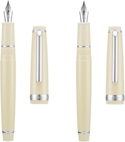 DJDLFA Füllfederhalter EF/F/M Feder mit Konverter, mehrfarbiges Harz, silberfarben/goldener Clip, Schreibstift-Set (Elfenbein-Silber, EF und F) von DJDLFA