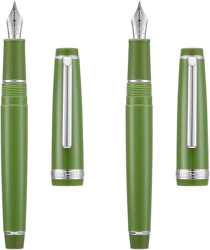 DJDLFA Füllfederhalter EF/F/M Feder mit Konverter, mehrfarbiges Harz, silberfarben/goldener Clip, Schreibstift-Set (Grün-Silber, EF und M) von DJDLFA
