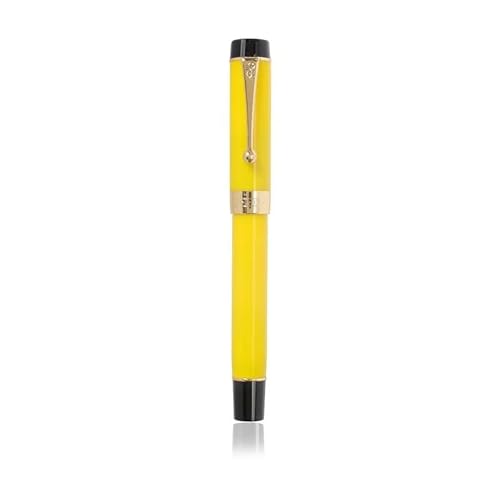 DJDLFA Füllfederhalter aus Kunstharz, Iridum EF/F/M/gebogene Feder mit Konverter, goldfarben/silberfarbener Clip, für Büro, Büro, Schreibstift (11) von DJDLFA
