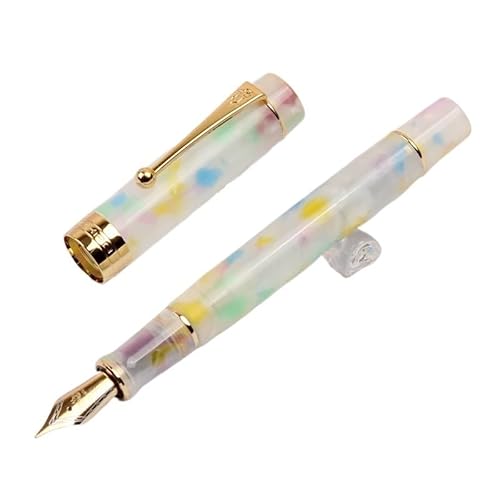 DJDLFA Füllfederhalter aus Kunstharz, Iridum EF/F/M/gebogene Feder mit Konverter, goldfarben/silberfarbener Clip, für Büro, Büro, Schreibstift (28) von DJDLFA