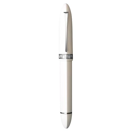 DJDLFA Füllfederhalter mit dreieckigem Kolben, Kunstharz, EF/F-Feder für Schreibwaren, Geschenk, für Schule, Büro, Geschäft, Schreibwaren (weiß-silberfarbener Clip, EF-Feder) von DJDLFA