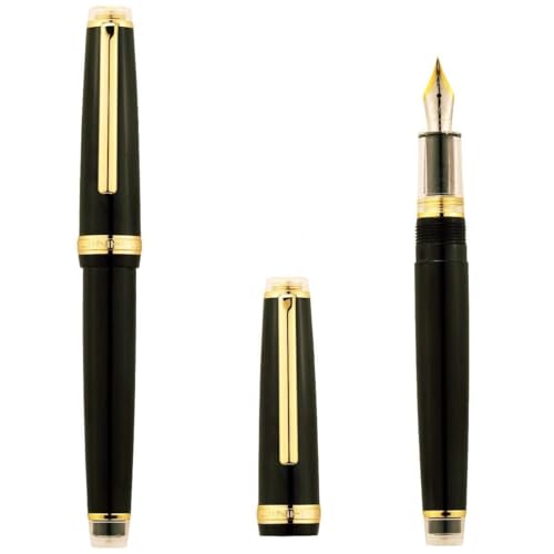 DJDLFA Modifizierter handpolierter Füllfederhalter mit kleiner Prinzspitze, Kalligraphie-Praxis, Geschenkstift (J) von DJDLFA