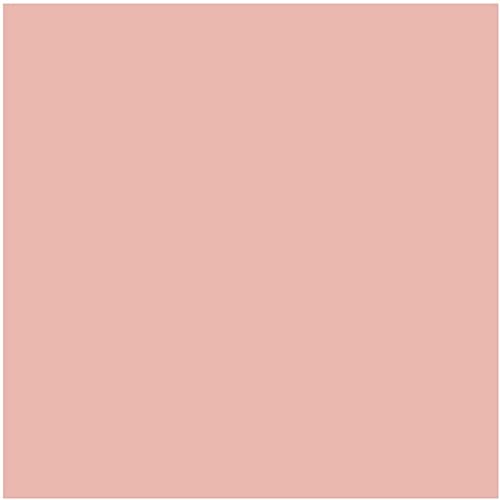 DJP Farbiger Bastelkarton A4, 160 g/m², pfirsichfarben, 50 Blatt DJP Farbiger Bastelkarton A4, 160 g/m², pfirsichfarben, 50 Blatt von DJP