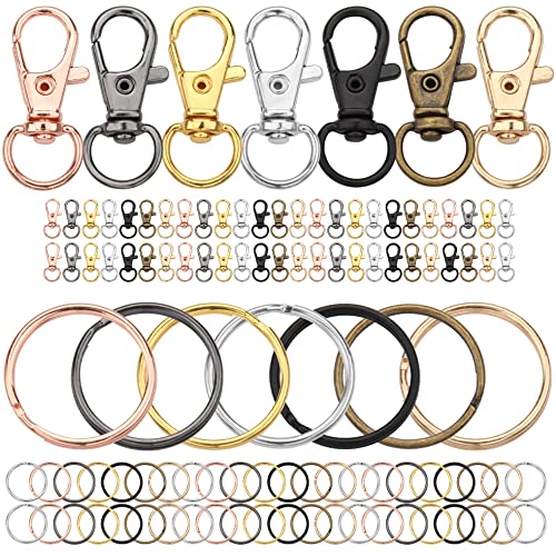 Schlüsselringe 25mm 100Stk Karabiner Schlüsselanhänger Basteln Set (50 Schlüsselring Klein+ 50 Karabinerhaken mit Drehgelenk) Schlüsselanhänger Selber Machen für DIY Schmuck Handwerk (7 Farbe) Key Fob von DKBT