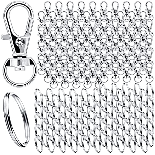 Schlüsselring Edelstahl Klein 160 Stück Karabiner Schlüsselanhänger Basteln Selber Machen Ringe Karabinerhaken mit Drehgelenk(Silber) von DKBT