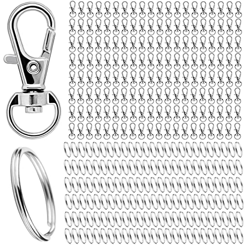 Schlüsselring Edelstahl Klein 320 Stück Karabiner Schlüsselanhänger Basteln Selber Machen Ringe Karabinerhaken mit Drehgelenk(Silber) von DKBT