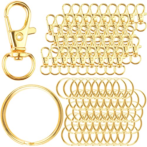 Karabiner Schlüsselanhänger zum Basteln-90 Stück Schlüsselring Edelstahl Klein Ringe Karabinerhaken Schlüsselanhänger mit Drehgelenk Schlüsselanhänger Selbst Basteln(Gold) von DKBT