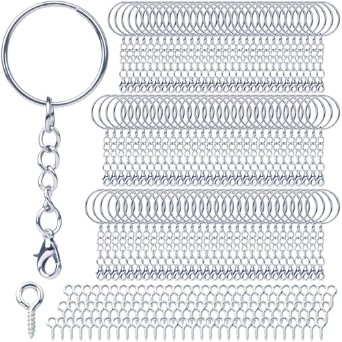 Schlüsselring mit Kette Karabinerverschluss 180 Stück Schlüsselanhänger Basteln Set (90 Schlüsselanhänger Ringe Kette +90 Schrauböse Pins), Schlüsselringe 25mm für Schlüssel DIY Schmuckherstellung von DKBT