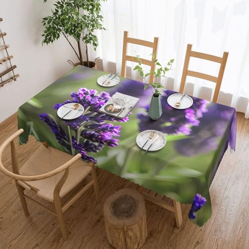 DKGOHLP Tischdecke mit Lavendelfarbener Blumendruck, 137 x 183 cm, knitterfrei, Esstischtuch für Tische für Weihnachtsfeiern DKGOHLP Tischdecke mit Lavendelfarbener Blumendruck, 137 x 183 cm, knitterfrei, Esstischtuch für Tische für Weihnachtsfeiern von DKGOHLP