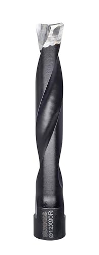 DLTOOLS Domino-Bitschneider, Domino-Bit, Vollhartmetall-Bit, 12 mm Durchmesser, passend für Domino-Verbindungsmaschine DF700. von DL TOOLS