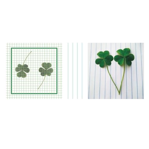 DLUKENY Kreatives Notizpapier, 50 Blatt, Haftnotizen, Notizblock, Scrapbooking, Dekorationspapier für Scrapbooking, Notizen, Journaling DLUKENY Kreatives Notizpapier, 50 Blatt, Haftnotizen, Notizblock, Scrapbooking, Dekorationspapier für Scrapbooking, Notizen, Journaling von DLUKENY