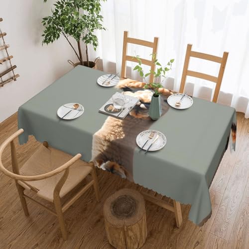 DLXW Premium Fleckenabweisende Alpaka-Avatar-Tischdecke für Picknicks im Freien, gezackte Polyester-Tischdecke von DLXW