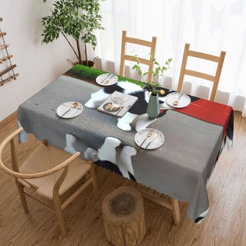 DLXW Premium Fleckenabweisende Tischdecke für Picknicks im Freien, gezackte Polyester-Tischdecke, Schwarz und Weiß von DLXW