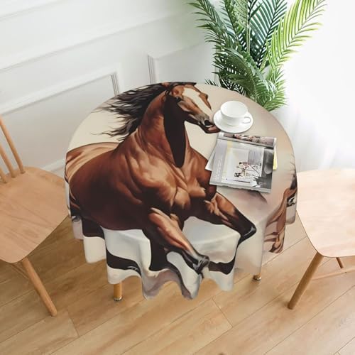 DLXW Tischdecke, rund, wasserabweisend, Polyester, ideal für Innen- und Außenbereich, Bankette, Cafés, Picknicks und mehr, 152,4 cm DLXW Tischdecke, rund, wasserabweisend, Polyester, ideal für Innen- und Außenbereich, Bankette, Cafés, Picknicks und mehr, 152,4 cm von DLXW