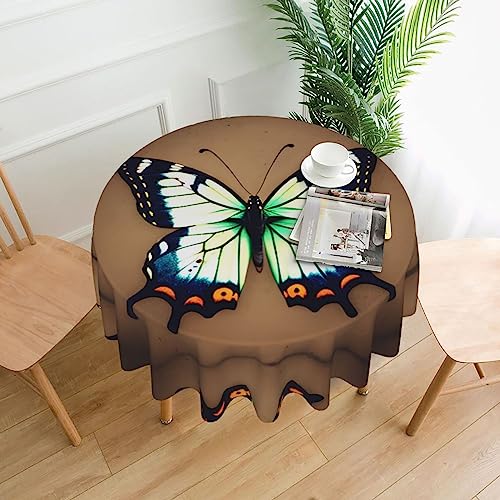 DLXW Tischdecke für runde Tische, niedlicher kleiner Schmetterling DLXW Tischdecke für runde Tische, niedlicher kleiner Schmetterling von DLXW