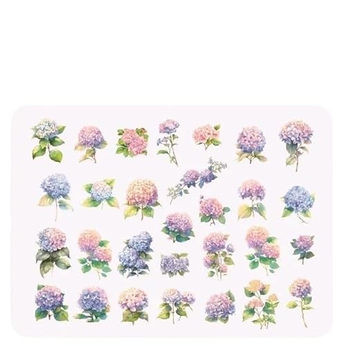 DLZFUDTY Sticker,Aufkleber 6 Stil 30 Teile/Paket Sommer Regenwald Pflanzen Serie for DIY Kalender Glas Flasche Handbuch Umschlag Material Dekoration(S23091-4) von DLZFUDTY