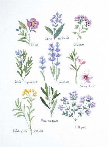 DMC Herbes Kreuzstich-Set von DMC