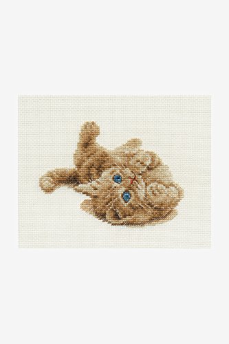 DMC Der Kreuzstich mit Katzenmotiv, enthält Aida-Stoff, Stickgarn, Nadel und Anleitung (evtl. Nicht in Deutscher Sprache) DMC Der Kreuzstich mit Katzenmotiv, enthält Aida-Stoff, Stickgarn, Nadel und Anleitung (evtl. Nicht in Deutscher Sprache) von DMC