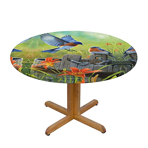 Runde Tischdecke mit Vogelmotiv, waschbar, wiederverwendbar, schützt und dekoriert den Esstisch M für runde Tische mit 101,6 cm - 127 cm von DMORJ