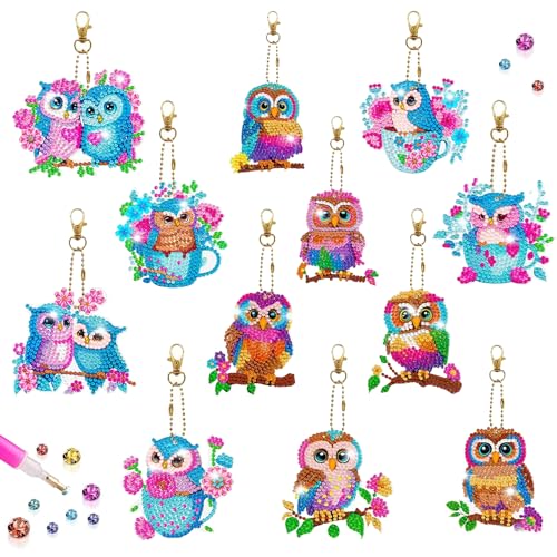 DNWFZ Diamond Painting Anhänger 12 Stück Diy Diamond Painting Schlüsselanhänger Kinder Erwachsene 5D Eule Malerei Stickerei Diamant Painting Anhänger Art Eulen Handtasche Schlüssel Craft Kits von DNWFZ