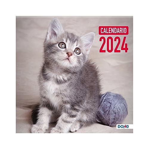 Dohe - Wandkalender 2024 - Heftklammer - Größe: 30x30 cm - Mit Bohrung zum Aufhängen und Planning 2024 - Modell Katzen von DOHE