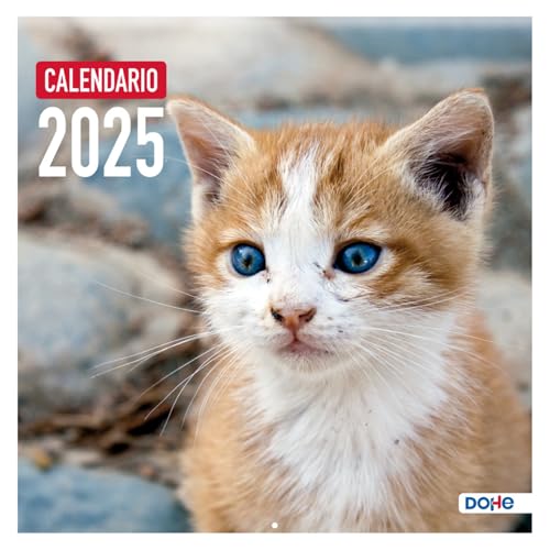 Dohe - Wandkalender 2024 - Heftklammer - Größe: 30x30 cm - Mit Bohrung zum Aufhängen und Planning 2024 - Modell Katzen von DOHE