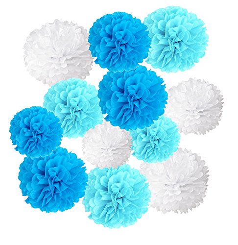 Wartoon Seidenpapier Pompons Blumen Ball Dekorpapier Kit für Geburtstag, Hochzeit, Baby Dusche, Parteien, Hauptdekorationen, Partei Dekoration - 12 Stück (Blau, Himmel blau und weiß) von DOITEM