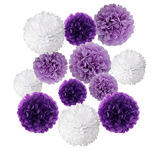 Wartoon Seidenpapier Pompons Blumen Ball Dekorpapier Kit für Geburtstag, Hochzeit, Baby Dusche, Parteien, Hauptdekorationen, Partei Dekoration - 12 Stück (Helles Lila, Dunkles Violet und Weiß) von DOITEM