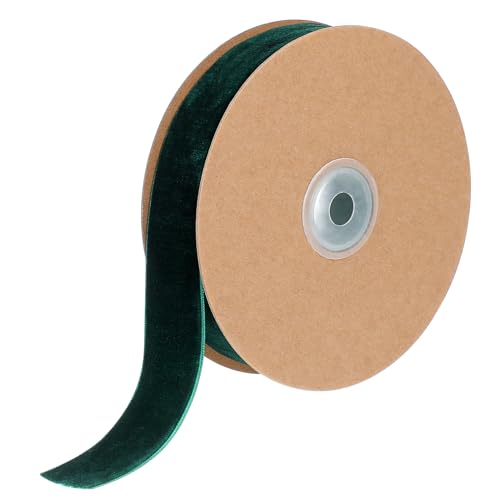 DOITOOL 1 Rolle Beflockungsband beflockt Bänder für Textilband gemischt trimmen dunkles Band dünn seidenband ribbon Dekorationsband bandalette Schleifenband Geschenkverpackungsband Green DOITOOL 1 Rolle Beflockungsband beflockt Bänder für Textilband gemischt trimmen dunkles Band dünn seidenband ribbon Dekorationsband bandalette Schleifenband Geschenkverpackungsband Green von DOITOOL