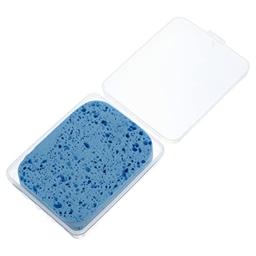 DOITOOL 1 Stück Malschwamm Saugfähig Waschbar Farbig Strukturiert Saugfähig Weich Große Schwämme Malbedarf Kunst Aquarellschwamm Wasserkreideschwamm Feuchtigkeitsschwamm Blau DOITOOL 1 Stück Malschwamm Saugfähig Waschbar Farbig Strukturiert Saugfähig Weich Große Schwämme Malbedarf Kunst Aquarellschwamm Wasserkreideschwamm Feuchtigkeitsschwamm Blau von DOITOOL