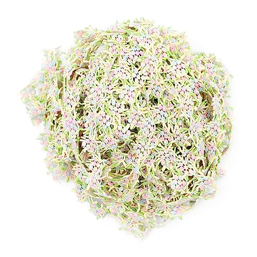 DOITOOL 1 Stück Yards Bunte Wasserlösliche Blumenmuster Spitze für Diy Bastelarbeiten Dekorative Spitze für Kleidung Haarschmuck Tischdecken und Mehr DOITOOL 1 Stück Yards Bunte Wasserlösliche Blumenmuster Spitze für Diy Bastelarbeiten Dekorative Spitze für Kleidung Haarschmuck Tischdecken und Mehr von DOITOOL