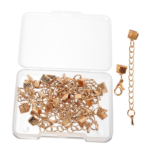 DOITOOL 10 Sätze Teiliges Schmuckzubehör aus Metall mit Karabinerverschlüssen Endkappen und Verlängerungsketten für DIY Armband Halskettenherstellung Einfache Montage für Damen und Herren DOITOOL 10 Sätze Teiliges Schmuckzubehör aus Metall mit Karabinerverschlüssen Endkappen und Verlängerungsketten für DIY Armband Halskettenherstellung Einfache Montage für Damen und Herren von DOITOOL