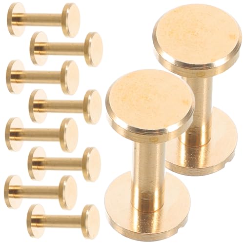 DOITOOL 10 Stück Messing Flachkopf Nieten Schrauben für Gürtel und Lederhandwerk Hochwertige Buchbinderei Schrauben für Diy Projekte und Accessoires Langlebig und Elegant von DOITOOL