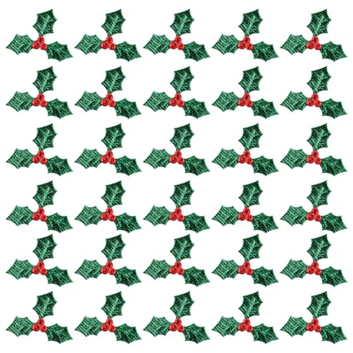 DOITOOL 100 Stück Weihnachts-Applikationen, Mini-Stechpalmenblätter zum Basteln, Mini-Stechpalmenbeeren, Verzierungen für Urlaub, Nähen und Kartenherstellung, DIY, Handwerk, Weihnachtskranz DOITOOL 100 Stück Weihnachts-Applikationen, Mini-Stechpalmenblätter zum Basteln, Mini-Stechpalmenbeeren, Verzierungen für Urlaub, Nähen und Kartenherstellung, DIY, Handwerk, Weihnachtskranz von DOITOOL