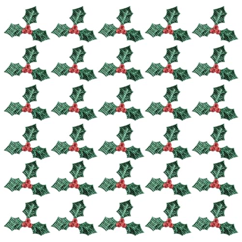 DOITOOL 100 Stück Weihnachts-Applikationen, Mini-Stechpalmenblätter zum Basteln, Mini-Stechpalmenbeeren, Verzierungen für Urlaub, Nähen und Kartenherstellung, DIY, Handwerk, Weihnachtskranz DOITOOL 100 Stück Weihnachts-Applikationen, Mini-Stechpalmenblätter zum Basteln, Mini-Stechpalmenbeeren, Verzierungen für Urlaub, Nähen und Kartenherstellung, DIY, Handwerk, Weihnachtskranz von DOITOOL