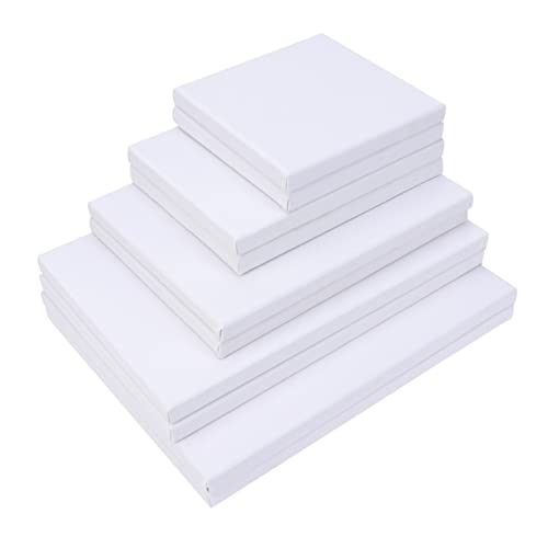 DOITOOL 10Stücke Teiliges Leinwandrahmen Holz Baumwolle für DIY Malerei Verschiedene für Projekte und von DOITOOL