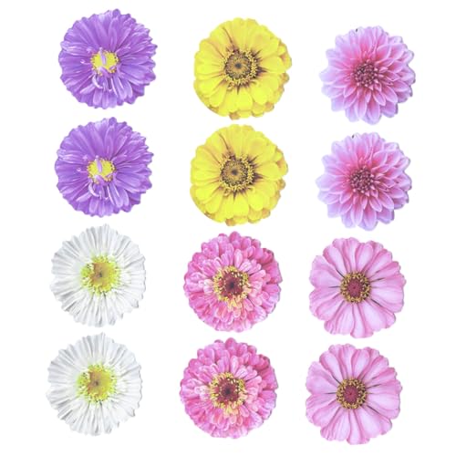 DOITOOL 12 Stück Blumen Haftnotizen Selbstklebende Notizzettel für Büro Schule und Zuhause Dekorative Memo Pads im Mixed Style Praktische Erinnerungen für Wichtige Aufgaben DOITOOL 12 Stück Blumen Haftnotizen Selbstklebende Notizzettel für Büro Schule und Zuhause Dekorative Memo Pads im Mixed Style Praktische Erinnerungen für Wichtige Aufgaben von DOITOOL