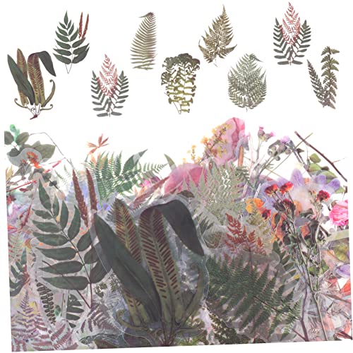 DOITOOL 120 Stück Pflanzen und Blumenaufkleber Wasserdichte Transparente Pet Aufkleber für Diy Scrapbooking und Handarbeiten Vintage Floral Designs für Kunstprojekte und Journals von DOITOOL