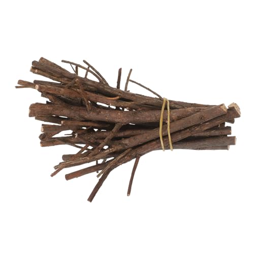 DOITOOL 15 Stück Weihnachtskiefernkegelstock Hängend Weihnachtsdekorationen Zweige Basteln Zweige Für Weihnachtsbaum Weihnachtspicks Und Zweige Klein Getrocknet Protokoll DOITOOL 15 Stück Weihnachtskiefernkegelstock Hängend Weihnachtsdekorationen Zweige Basteln Zweige Für Weihnachtsbaum Weihnachtspicks Und Zweige Klein Getrocknet Protokoll von DOITOOL