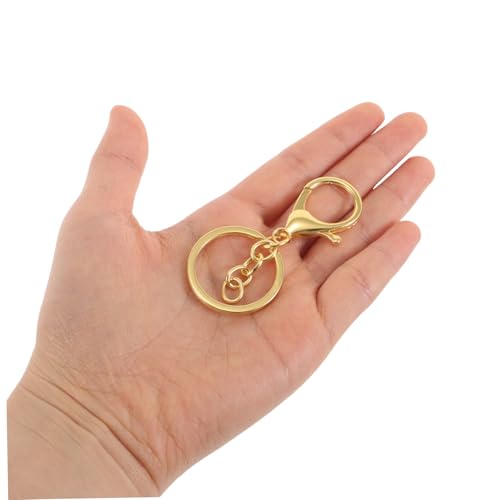 DOITOOL 20 Stück Teiliges Kleine Metall Lobster Verschlüsse mit Kette Robuste Eisen Karabiner Vielseitige Diy Schlüsselanhänger Clips für Schmuckherstellung Schlüsselringe Taschen und DOITOOL 20 Stück Teiliges Kleine Metall Lobster Verschlüsse mit Kette Robuste Eisen Karabiner Vielseitige Diy Schlüsselanhänger Clips für Schmuckherstellung Schlüsselringe Taschen und von DOITOOL
