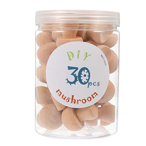 DOITOOL 30 Stück Diy Unfertige Holzpilze Basteln und Dekorieren für Projekte Sicher für Erwachsene von DOITOOL