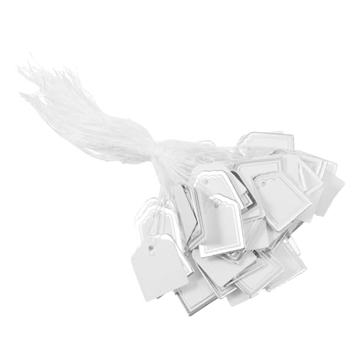 DOITOOL 500 Stück leeres Etikett zum Aufhängen Kleidung Schmuck Anzeige Etiketten Einzelhandel hängend weiße Markierungsmarken Ohrringkarten weißes Preisschild Warenanhänger Papier Silver von DOITOOL